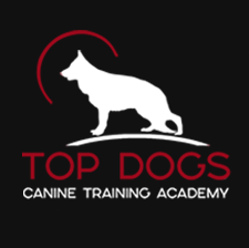 Top Dogs canine training academy logo